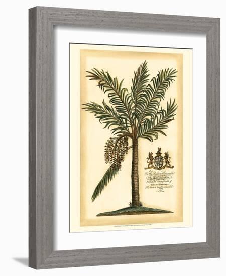 British Colonial Palm II-null-Framed Art Print