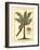 British Colonial Palm II-null-Framed Art Print