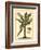 British Colonial Palm II-null-Framed Art Print