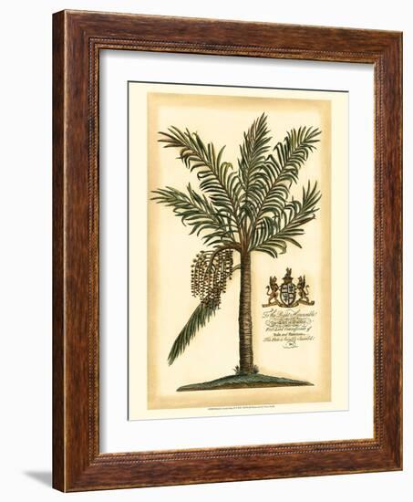 British Colonial Palm II-null-Framed Art Print