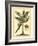 British Colonial Palm II-null-Framed Art Print