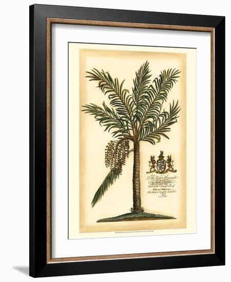 British Colonial Palm II--Framed Art Print