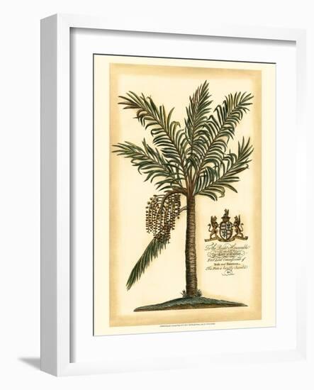 British Colonial Palm II-null-Framed Art Print