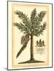 British Colonial Palm II-null-Mounted Art Print