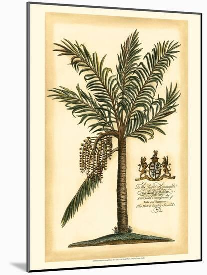 British Colonial Palm II-null-Mounted Art Print