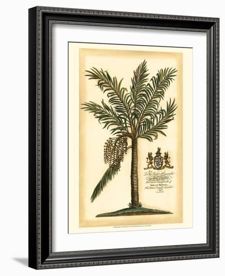 British Colonial Palm II-null-Framed Art Print