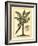 British Colonial Palm II-null-Framed Art Print