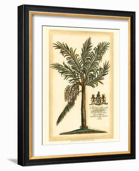 British Colonial Palm II-null-Framed Art Print