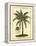 British Colonial Palm III-null-Framed Stretched Canvas