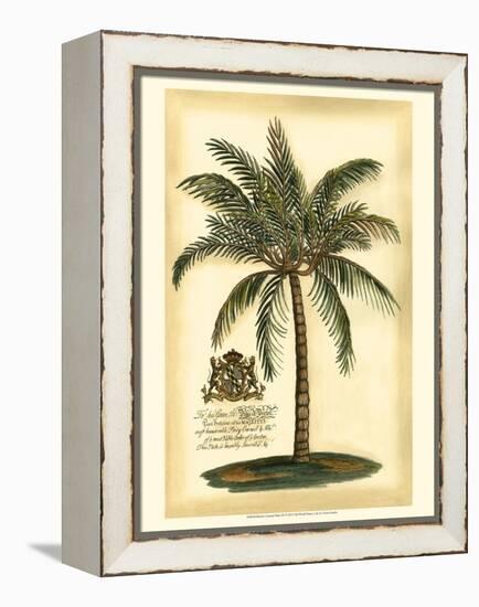 British Colonial Palm III-null-Framed Stretched Canvas