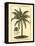 British Colonial Palm III-null-Framed Stretched Canvas