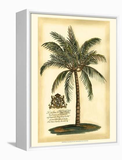 British Colonial Palm III-null-Framed Stretched Canvas