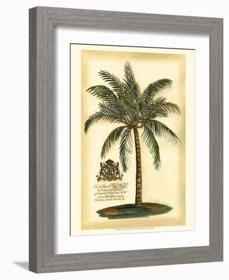 British Colonial Palm III-null-Framed Premium Giclee Print