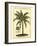 British Colonial Palm III-null-Framed Premium Giclee Print