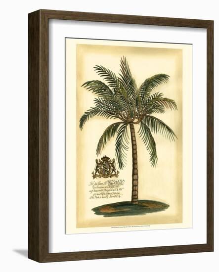 British Colonial Palm III-null-Framed Premium Giclee Print