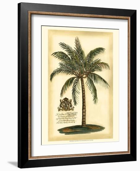 British Colonial Palm III-null-Framed Premium Giclee Print