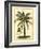 British Colonial Palm III-null-Framed Premium Giclee Print