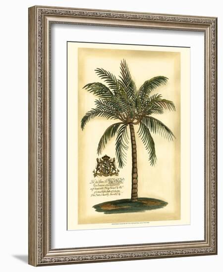 British Colonial Palm III-null-Framed Art Print