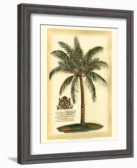 British Colonial Palm III-null-Framed Art Print