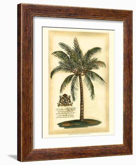 British Colonial Palm III-null-Framed Art Print