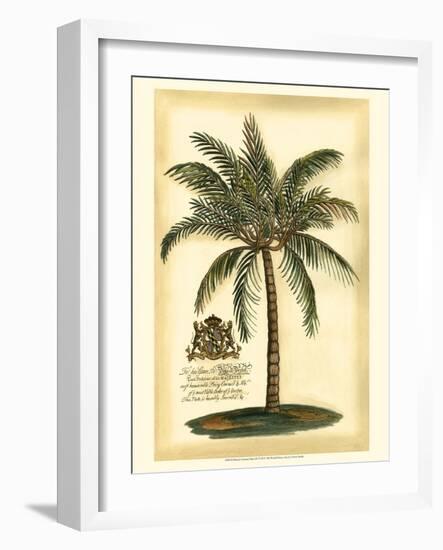 British Colonial Palm III-null-Framed Art Print