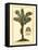 British Colonial Palm IV-null-Framed Stretched Canvas