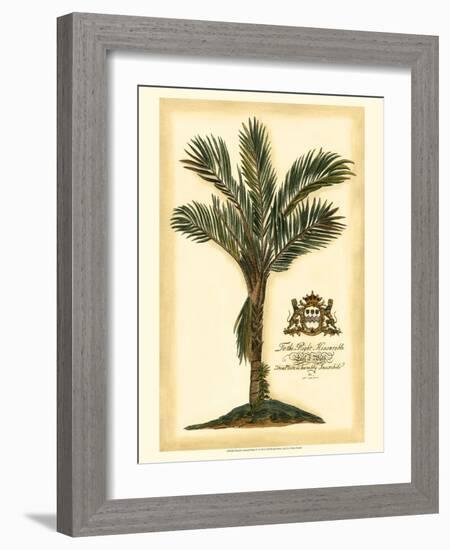 British Colonial Palm IV-null-Framed Art Print