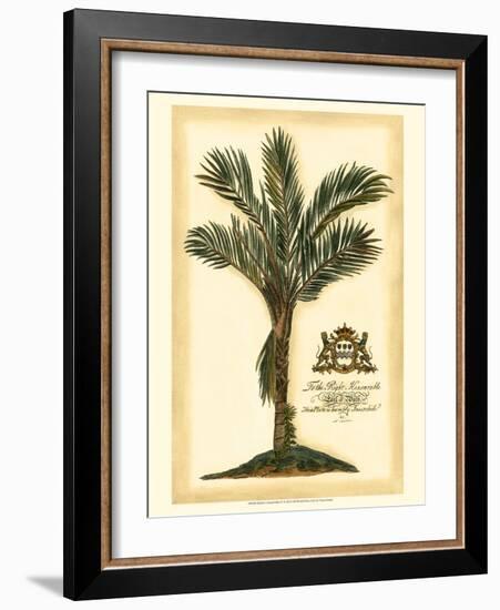 British Colonial Palm IV-null-Framed Art Print