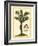 British Colonial Palm IV-null-Framed Art Print