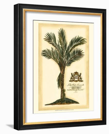 British Colonial Palm IV-null-Framed Art Print