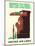 British Columbia - United Air Lines - Northwest Totem Pole - Vintage Airline Travel Poster, 1960s-Pacifica Island Art-Mounted Art Print