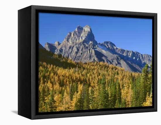 British Columbia, Yoho National Park-John Barger-Framed Premier Image Canvas