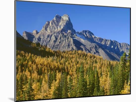 British Columbia, Yoho National Park-John Barger-Mounted Photographic Print