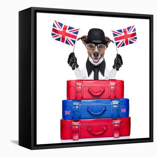 British Dog-Javier Brosch-Framed Premier Image Canvas