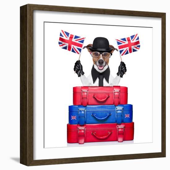 British Dog-Javier Brosch-Framed Photographic Print