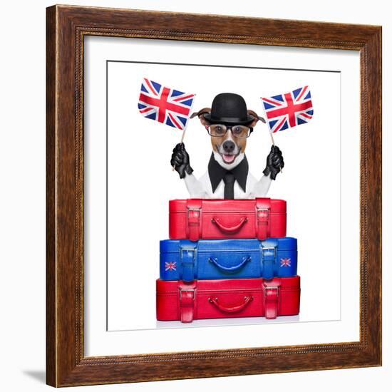 British Dog-Javier Brosch-Framed Photographic Print