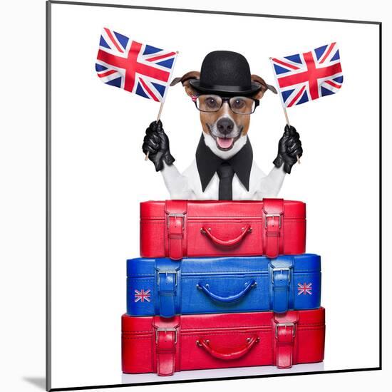 British Dog-Javier Brosch-Mounted Photographic Print