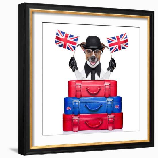 British Dog-Javier Brosch-Framed Photographic Print