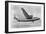 British European Airways 'Elizabethan' Class Aeroplane, 20th Century-null-Framed Giclee Print