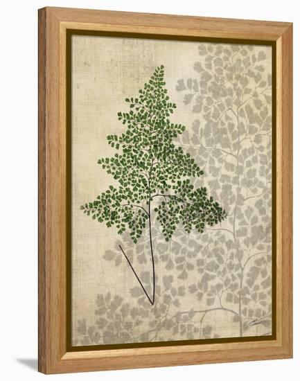 British Ferns I-John Butler-Framed Stretched Canvas