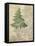 British Ferns I-John Butler-Framed Stretched Canvas