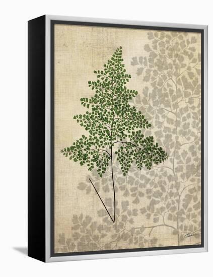 British Ferns I-John Butler-Framed Stretched Canvas