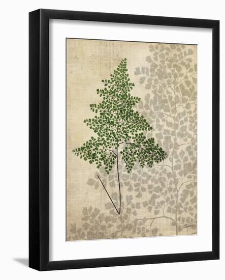 British Ferns I-John Butler-Framed Art Print