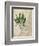 British Ferns II-John Butler-Framed Art Print