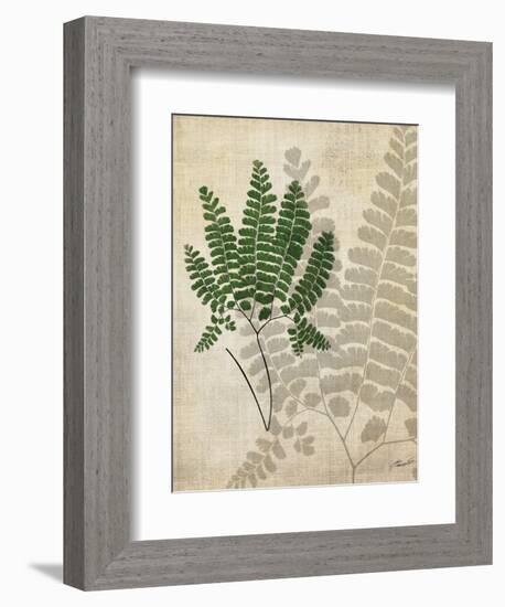 British Ferns II-John Butler-Framed Art Print