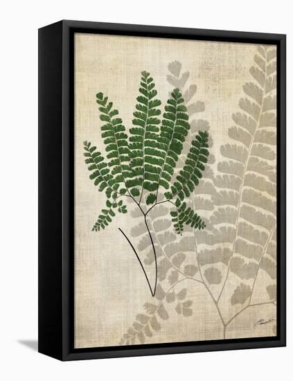 British Ferns II-John Butler-Framed Stretched Canvas