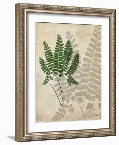 British Ferns II-John Butler-Framed Art Print