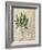 British Ferns II-John Butler-Framed Art Print