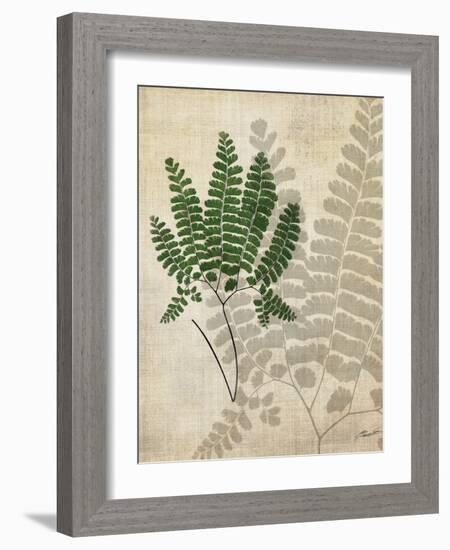 British Ferns II-John Butler-Framed Art Print