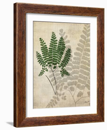 British Ferns II-John Butler-Framed Art Print